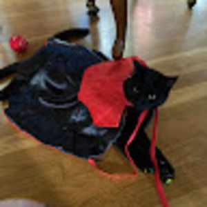 Meet your Posher, Joseph